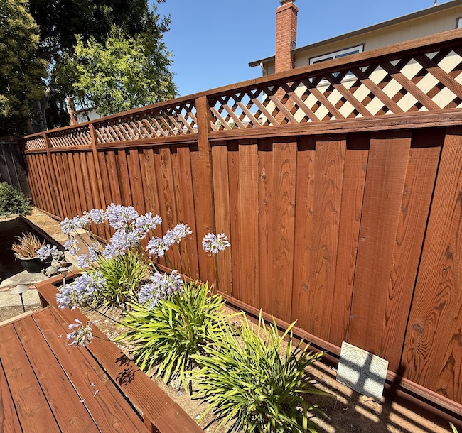 Restored side yard wood fence in San Mateo after professional staining and sealing
